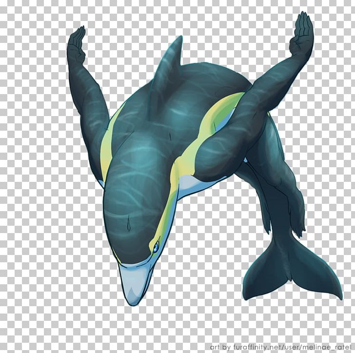 Short-beaked Common Dolphin Drawing Cetaceans PNG, Clipart, Animals, Art, Azteca Horse, Bottlenose Dolphin, Dolphin Free PNG Download