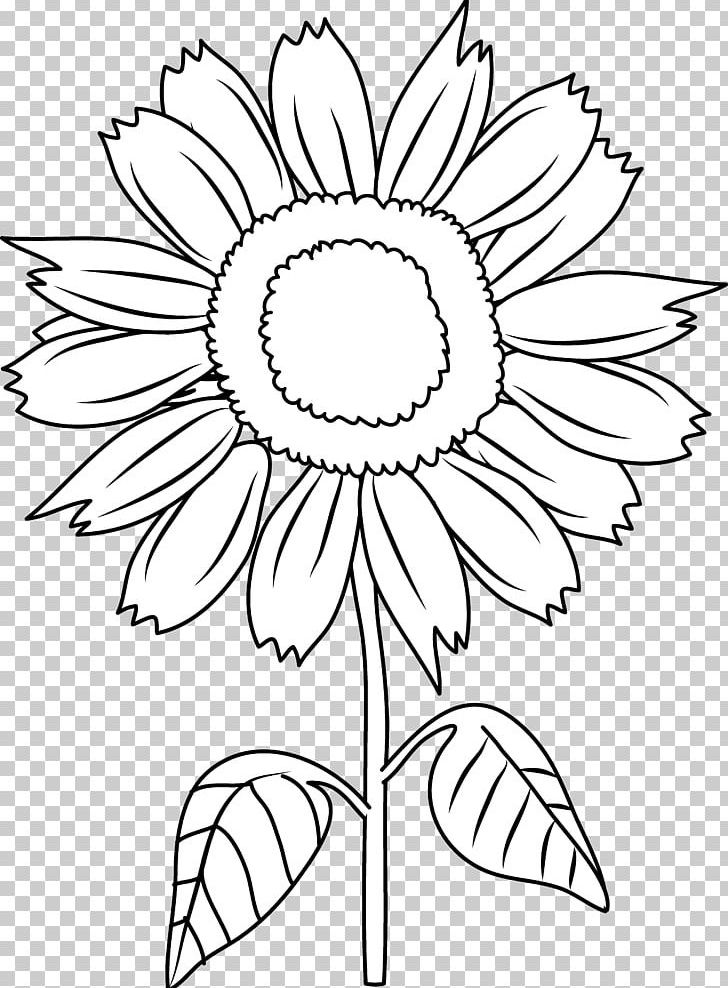 Black And White PNG, Clipart, Artwork, Black, Black Sunflower Cliparts, Circle, Cut Flowers Free PNG Download