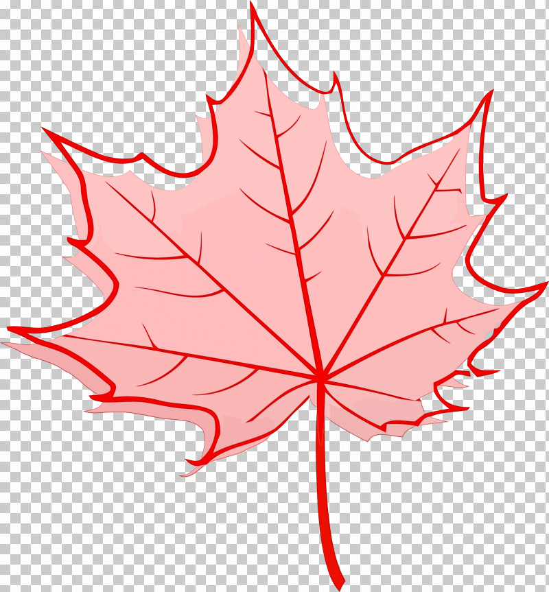 Maple Leaf PNG, Clipart, Autumn Leaf, Black Maple, Leaf, Line, Maple Leaf Free PNG Download