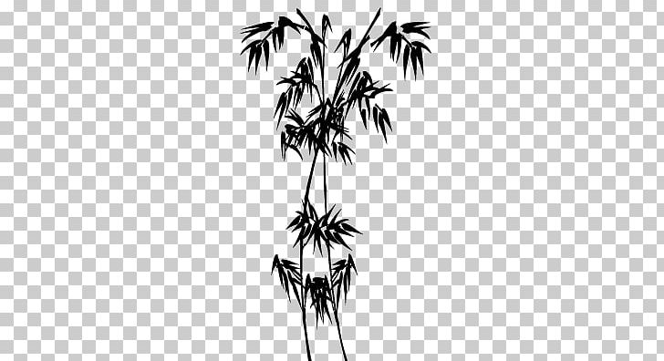 Asian Palmyra Palm Arecaceae Line Silhouette PNG, Clipart, Arecaceae, Arecales, Art, Asian Palmyra Palm, Bamboo Free PNG Download