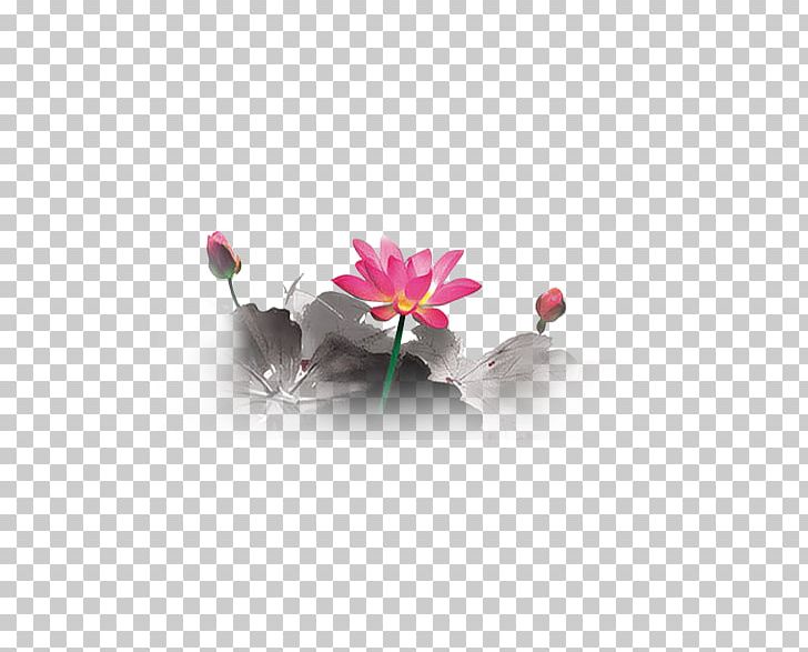 Ink Wash Painting Chinoiserie Nelumbo Nucifera PNG, Clipart, Art, Chinoiserie, Computer Wallpaper, Download, Flower Free PNG Download