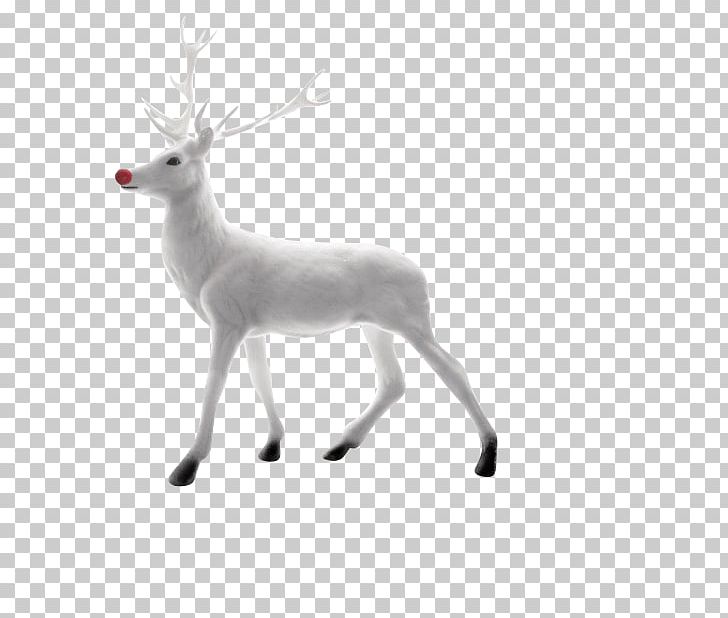 Rudolph Reindeer Santa Claus Christmas PNG, Clipart, Animal Figure, Antler, Black And White, Cartoon, Christmas Card Free PNG Download