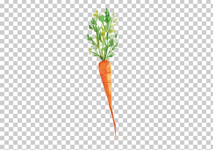 Blank Recipe Book: Nourishment Eating Laborer Health Pattern PNG, Clipart, Bunch Of Carrots, Carrot, Carrot Cartoon, Carrot Creative, Carrot Juice Free PNG Download