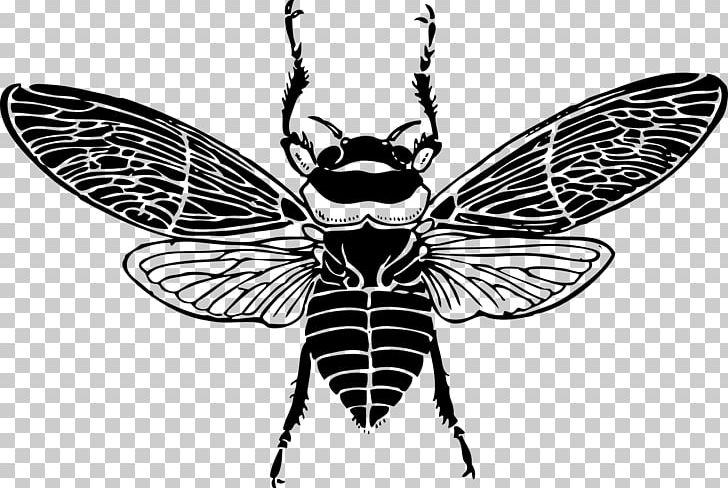 Honey Bee PNG, Clipart, Arthropod, Bee, Beehive, Black And White, Bumblebee Free PNG Download