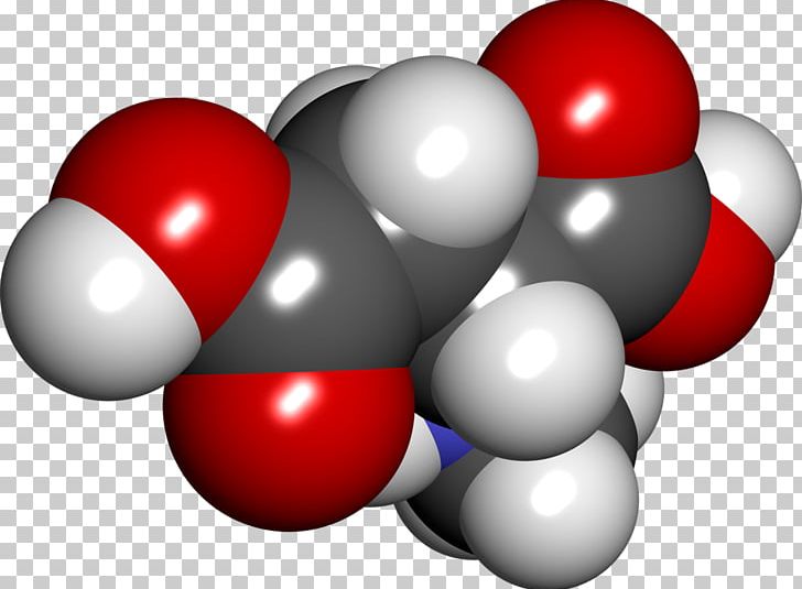 N-Methyl-D-aspartic Acid Space-filling Model Methyl Group PNG, Clipart, Acid, Agonist, Amino Acid, Arginine, Aspartic Acid Free PNG Download