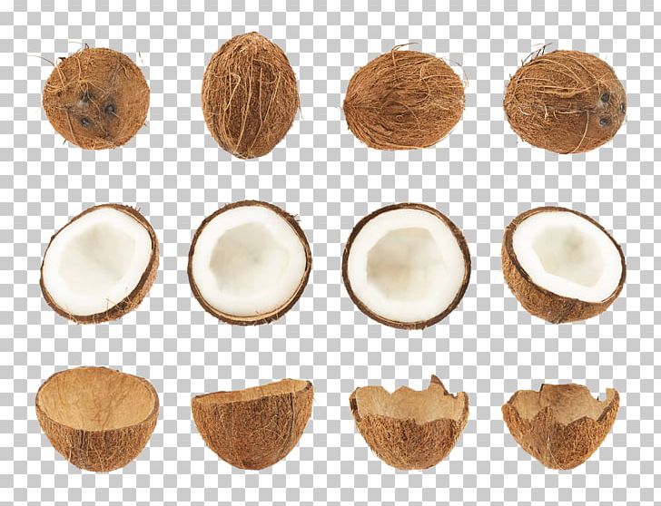 Nata De Coco Coconut Fruit Stock Photography PNG, Clipart, Brown, Coconut Husk, Coconut Leaf, Coconut Leaves, Coconut Meat Free PNG Download