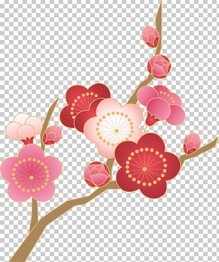 Plum Blossom Japan Thermoses Photography PNG, Clipart, Anthesis, Blossom, Branch, Cherry Blossom, Cut Flowers Free PNG Download