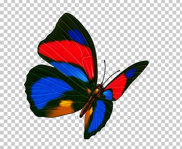 Butterfly Transparency And Translucency Icon PNG, Clipart, Arthropod, Brush Footed Butterfly, Color, Color Pencil, Color Powder Free PNG Download