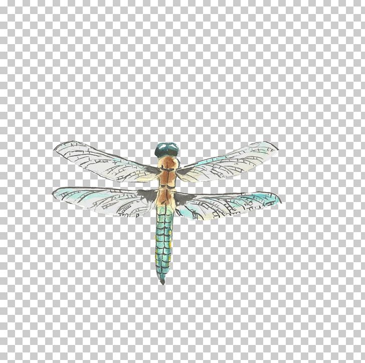Insect Dragonfly Drawing Watercolor Painting PNG, Clipart, Background, Background Picture, Cartoon Dragonfly, Crea, Dragonfly Wings Free PNG Download