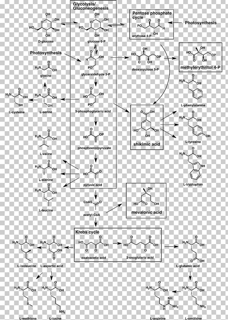 Natural Products: The Secondary Metabolites Biosynthesis Organic Chemistry PNG, Clipart, Angle, Biosynthesis, Black And White, Building Blocks, Chemical Synthesis Free PNG Download