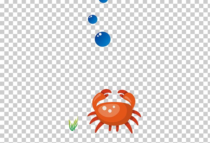 Christmas Island Red Crab Seafood Florida Stone Crab PNG, Clipart, Animals, Aquatic, Area, Balloon Cartoon, Boy Cartoon Free PNG Download