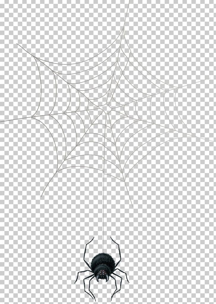 Spider Web Theridiidae Arthropod PNG, Clipart, Animal, Arachnid, Arthropod, Black And White, Halloween Spider Free PNG Download