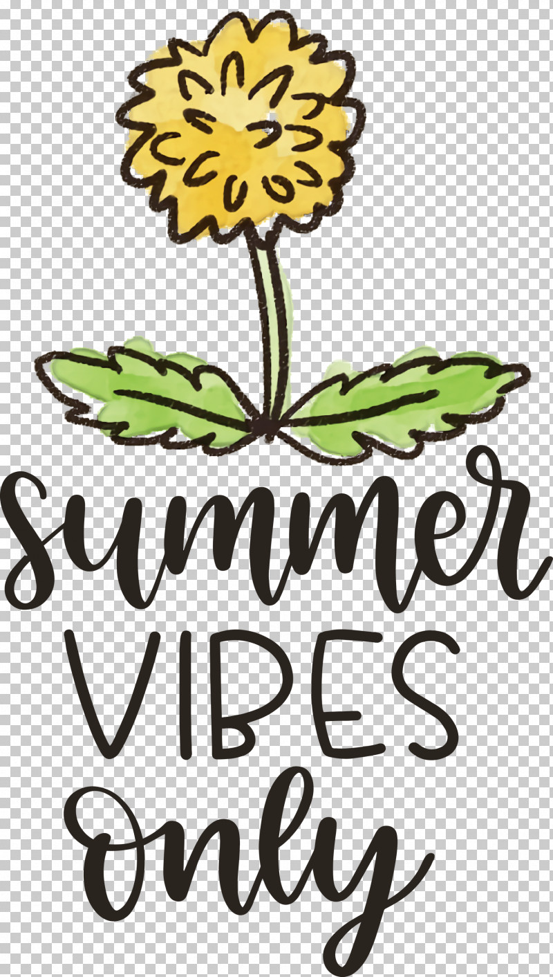 Summer Vibes Only Summer PNG, Clipart, Floral Design, Flower, Parenting, Plant Stem, Summer Free PNG Download