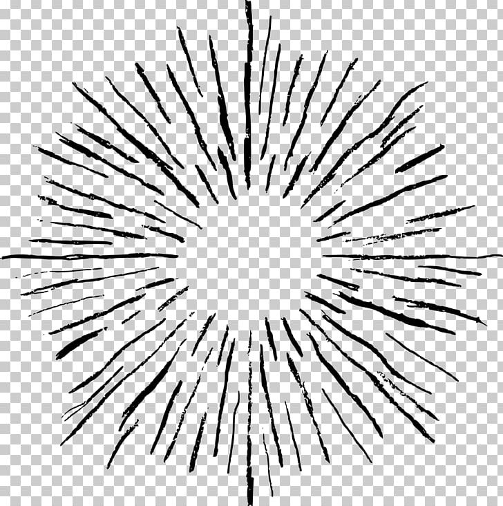 Drawing PNG, Clipart, Black And White, Branch, Burst, Circle, Computer Icons Free PNG Download