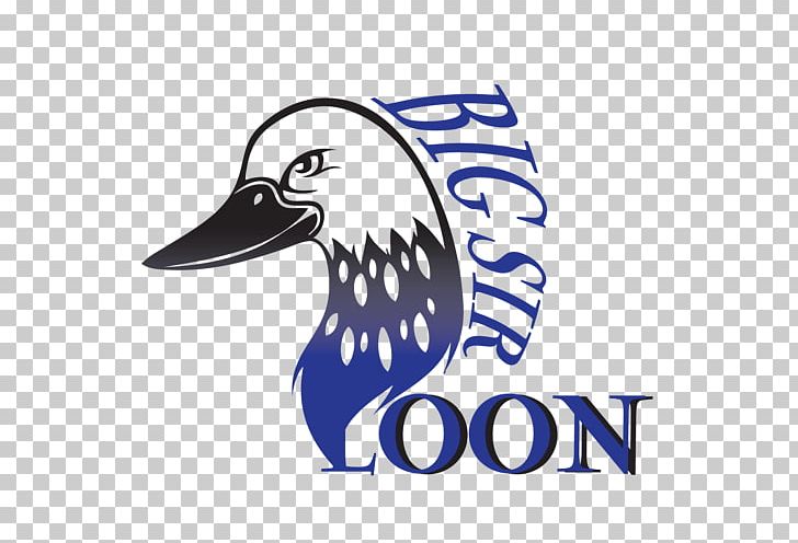 Duck Logo Bird Beak Loons PNG, Clipart, Animals, Artwork, Beak, Become, Bird Free PNG Download