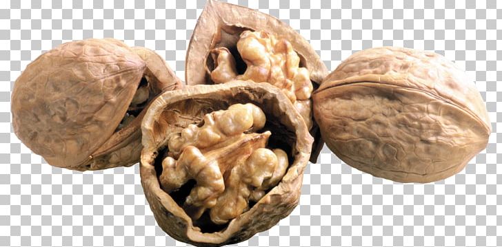 English Walnut Raw Foodism Praline PNG, Clipart, Almond, English Walnut, Food, Fruit Nut, Health Food Free PNG Download