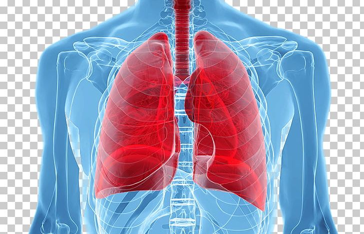 Lung Cancer Screening Human Body PNG, Clipart, Abdomen, Anatomy, Cancer, Disease, Electric Blue Free PNG Download