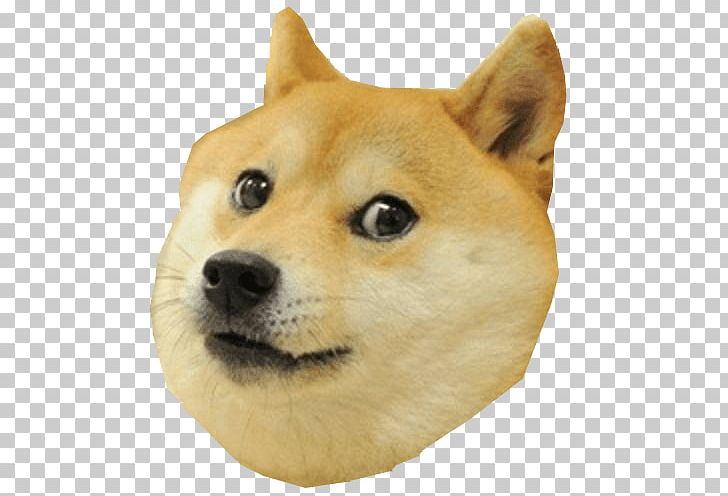 Shiba Inu Dogecoin Internet Meme PNG, Clipart, 4 Chan, Adv, Akita Inu, Animal, Carnivoran Free PNG Download