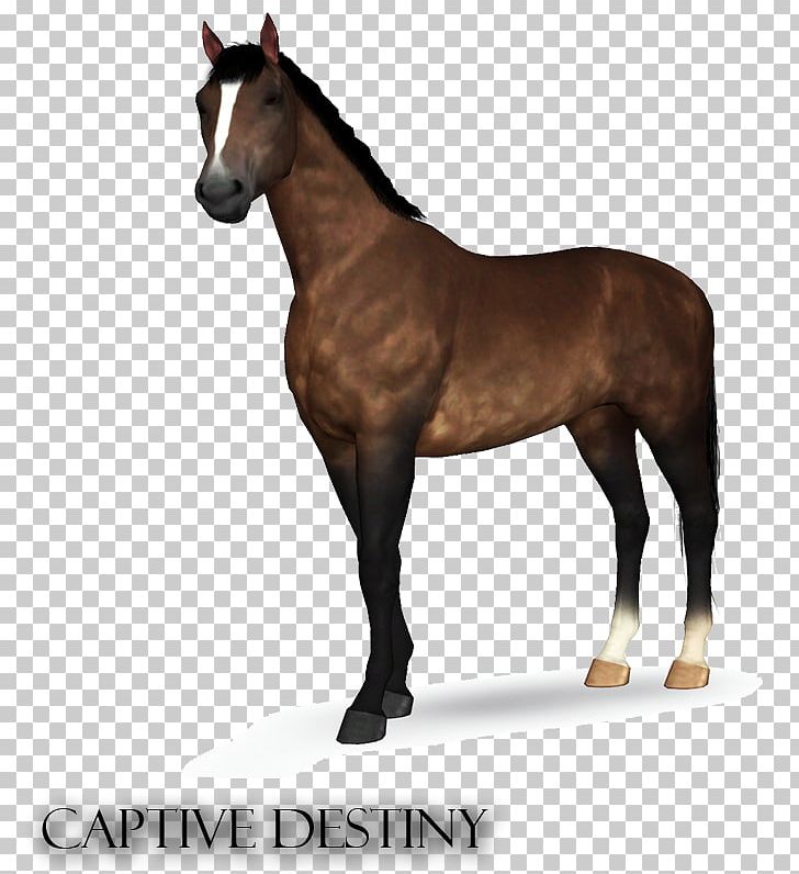 Stallion The Sims 3 Hanoverian Horse Foal Pony PNG, Clipart, Bridle, Colt, Equestrian, Equine Coat Color, Equine Conformation Free PNG Download