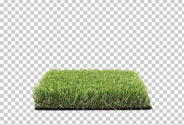 Artificial Turf Grass Lawn Garden Moquette PNG, Clipart, Amazonia, Artificial Turf, Balcony, December, Find Free PNG Download