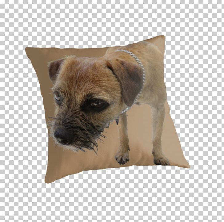 Border Terrier Cairn Terrier Puppy Dog Breed Throw Pillows PNG, Clipart, Animals, Border Terrier, Breed, Cairn, Cairn Terrier Free PNG Download