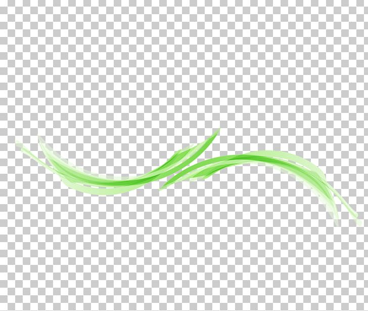 Leaf Close-up PNG, Clipart, Abstract Lines, Art, Bright Lines, Close Up, Closeup Free PNG Download