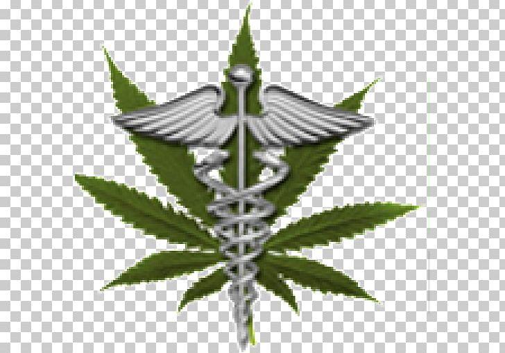 Medical Cannabis Medical Marijuana Card Dispensary LoDo Wellness Center PNG, Clipart, Canna, Cannabis, Cannabis Shop, Dispensary, Health Free PNG Download