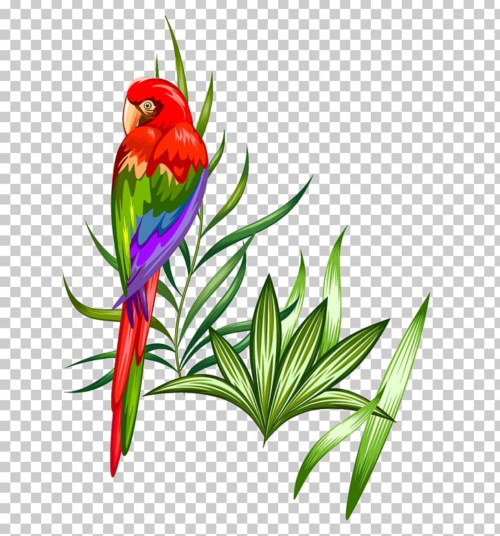Parrot Macaw Illustration PNG, Clipart, Animals, Art, Beak, Bird, Branch Free PNG Download