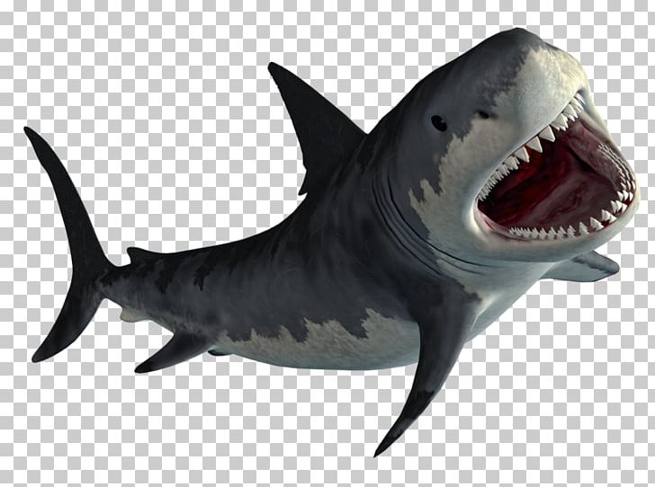 Hungry Shark Evolution Hungry Shark World Great White Shark PNG, Clipart, Animal Figure, Animals, Cartilaginous Fish, Coreldraw, Download Free PNG Download