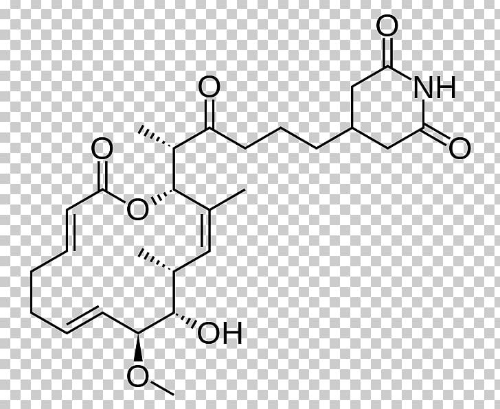Isomigrastatin Streptomyces Platensis Nootropic Chemical Compound PNG, Clipart, Angle, Area, Auto Part, Bacteria, Black And White Free PNG Download