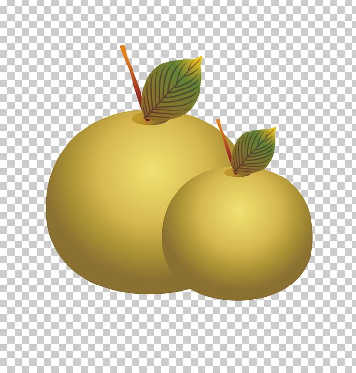 Pear PNG, Clipart, Auglis, Computer Graphics, Computer Wallpaper, Download, Euclidean Vector Free PNG Download