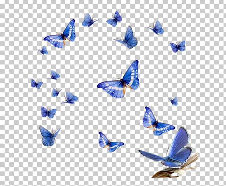 Butterfly PNG, Clipart, Adobe Fireworks, Blue, Butterfly, Clip Art, Clipart Free PNG Download