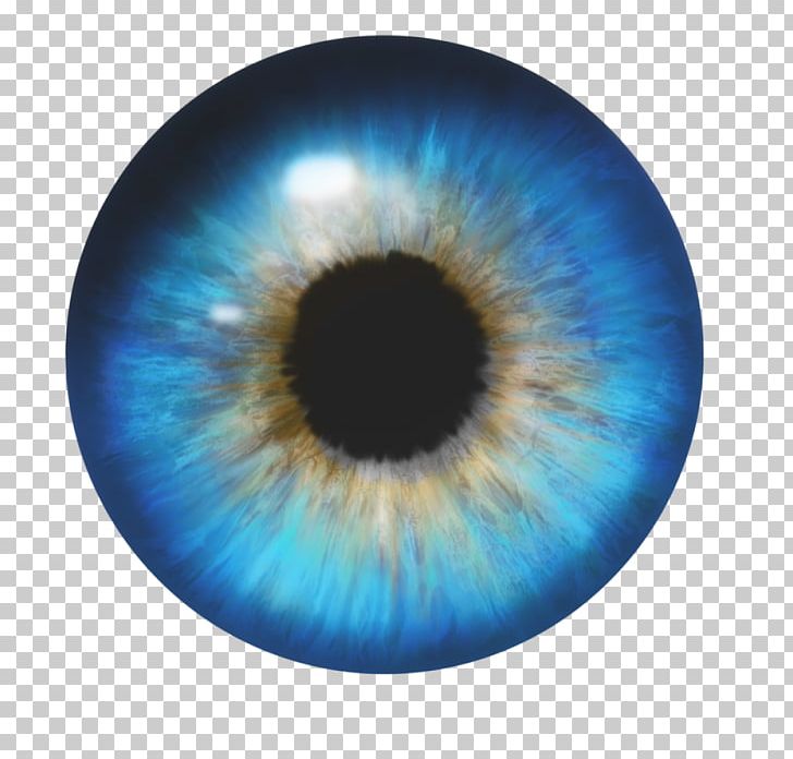 Light Eye Color Iris PNG, Clipart, Avatan, Avatan Plus, Blue, Camera Lens, Circle Free PNG Download