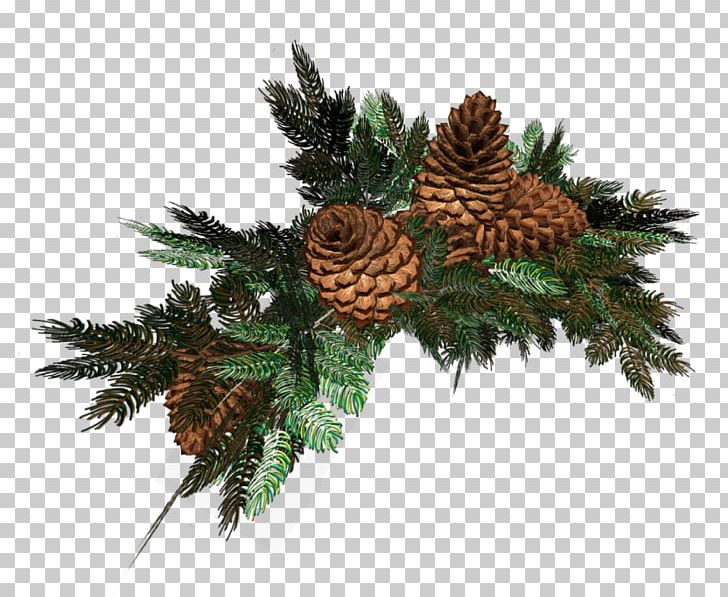 Christmas Designs Spruce LiveInternet Branch PNG, Clipart, Author, Branch, Christmas, Christmas Decoration, Christmas Designs Free PNG Download