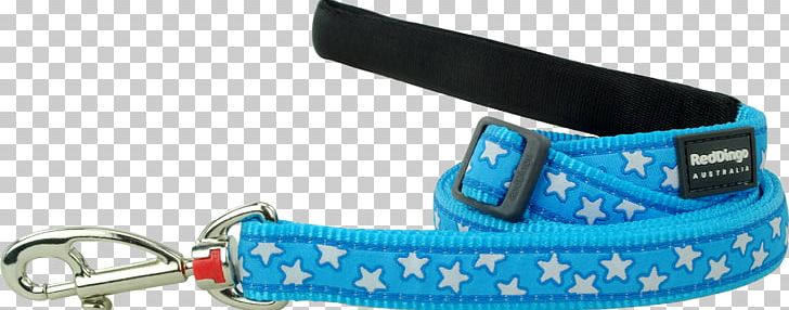 Leash Dingo Dog Collar Puppy PNG, Clipart, Blue, Collar, Dingo, Dog, Dog Collar Free PNG Download