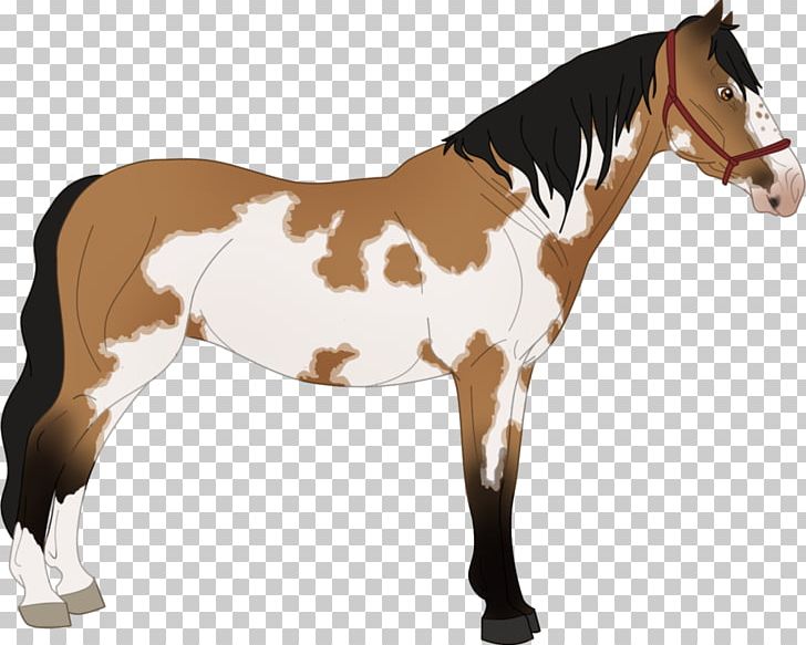 Mustang Stallion Foal Mare Colt PNG, Clipart, Animal Figure, Bridle, Colt, Foal, Halter Free PNG Download