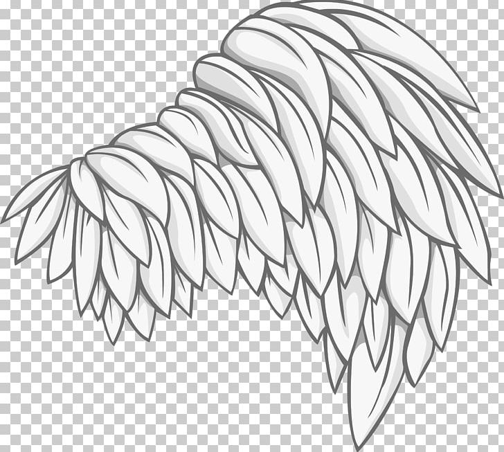 Bird Photography Drawing Illustration PNG, Clipart, Angel Wing, Angle, Bird, Branch, Chicken Wings Free PNG Download