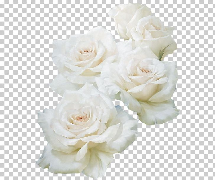 Blue Rose White PNG, Clipart, Artificial Flower, Blue, Color, Desktop Wallpaper, Encapsulated Postscript Free PNG Download