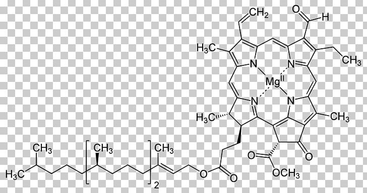 Chlorophyll A Chlorophyll B Structure Photosynthesis PNG, Clipart, Angle, Auto Part, Biological Pigment, Black And White, Chemical Structure Free PNG Download