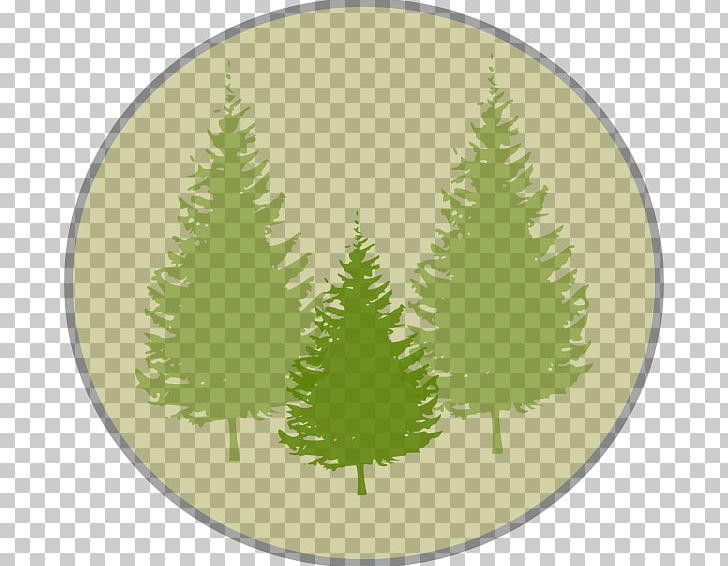 Pine Tree Fir PNG, Clipart, Branch, Christmas Decoration, Christmas Ornament, Christmas Tree, Computer Icons Free PNG Download