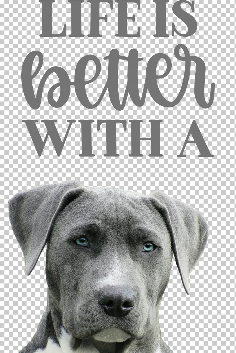 Life Better PNG, Clipart, Better, Biology, Breed, Dog, Life Free PNG Download