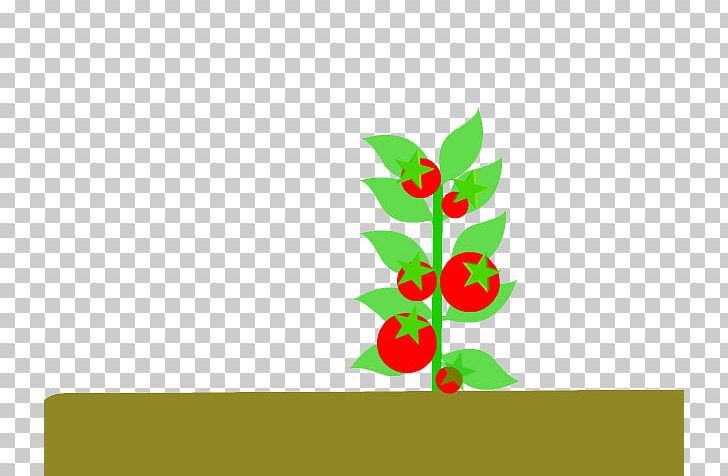 Tomato Tamarillo Drawing Cartoon PNG, Clipart, Cartoon Hand Drawing, Cherry Tomato, Cultivation, Download, Ecology Free PNG Download