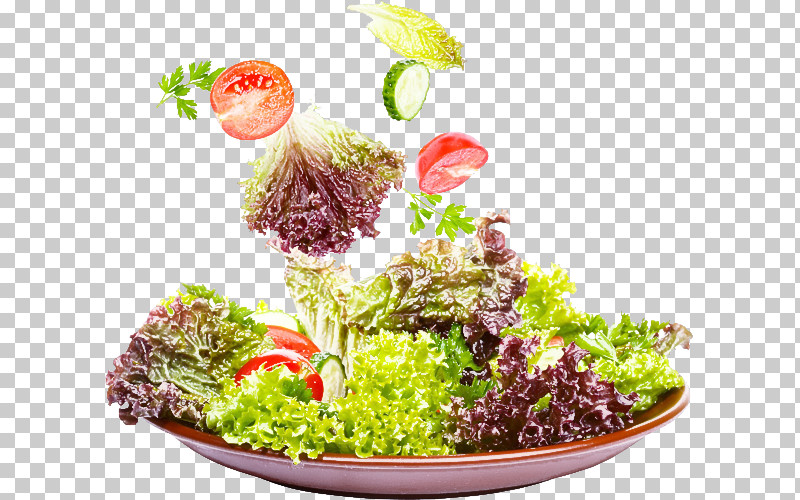 Salad PNG, Clipart, Broccoli, Cook, Garnish, Leaf Vegetable, Lettuce Free PNG Download