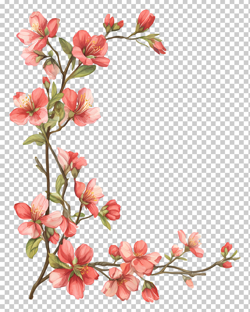 Cherry Blossom Vine - Pink Floral Branch Decoration PNG