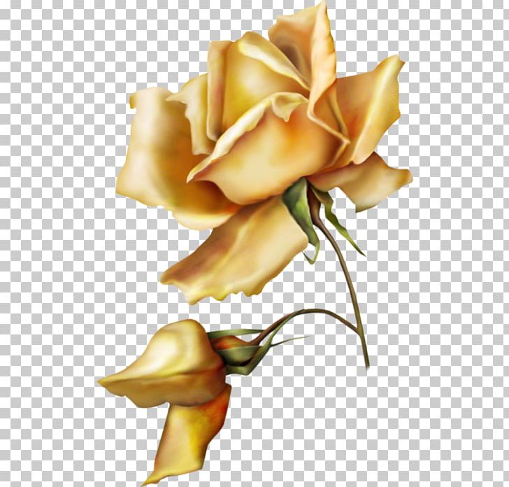 Garden Roses Flower Floral Design Painting PNG, Clipart, Art, Blossom, Cut Flowers, Deviantart, Floral Design Free PNG Download