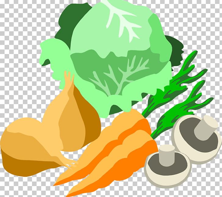 Vegetable Farming Carrot Food PNG, Clipart, Broccoli, Carrot, Cucumber, Drawing, Flower Free PNG Download