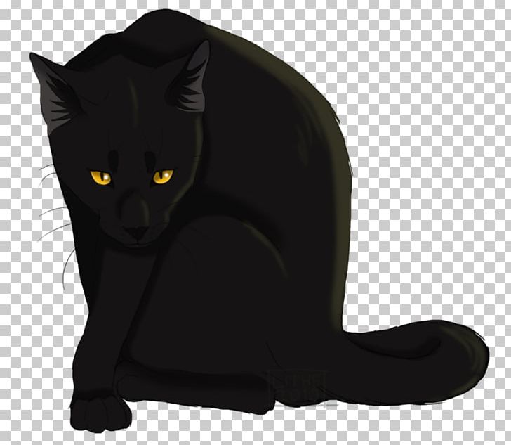Black Cat Bombay Cat Whiskers Warriors Cats Of The Clans PNG, Clipart, Black, Black Panther, Bombay, Breezepelt, Carnivoran Free PNG Download