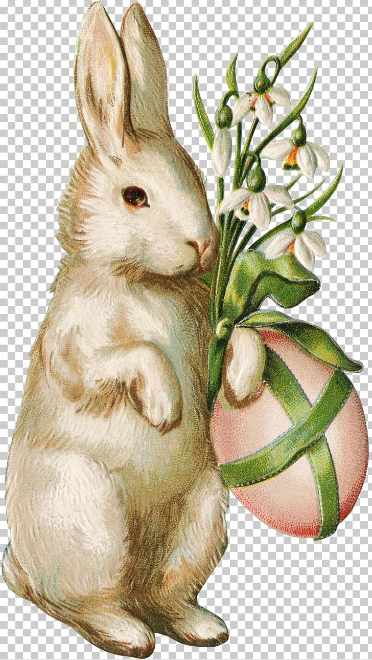 Easter Bunny Wedding Invitation Easter Egg Easter Postcard PNG, Clipart, Christmas, Christmas Card, Domestic Rabbit, Easter, Easter Basket Free PNG Download