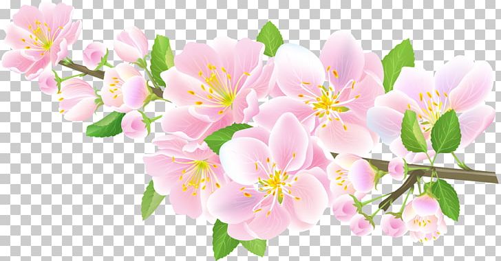 Alstroemeriaceae Cherry Blossom Floral Design Spring PNG, Clipart, Alstroemeriaceae, Blossom, Branch, Branching, Cherry Free PNG Download