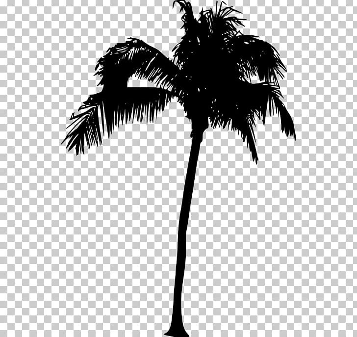 Asian Palmyra Palm Arecaceae Silhouette Sabal Palm Tree PNG, Clipart, Animals, Arecaceae, Arecales, Asian Palmyra Palm, Black And White Free PNG Download